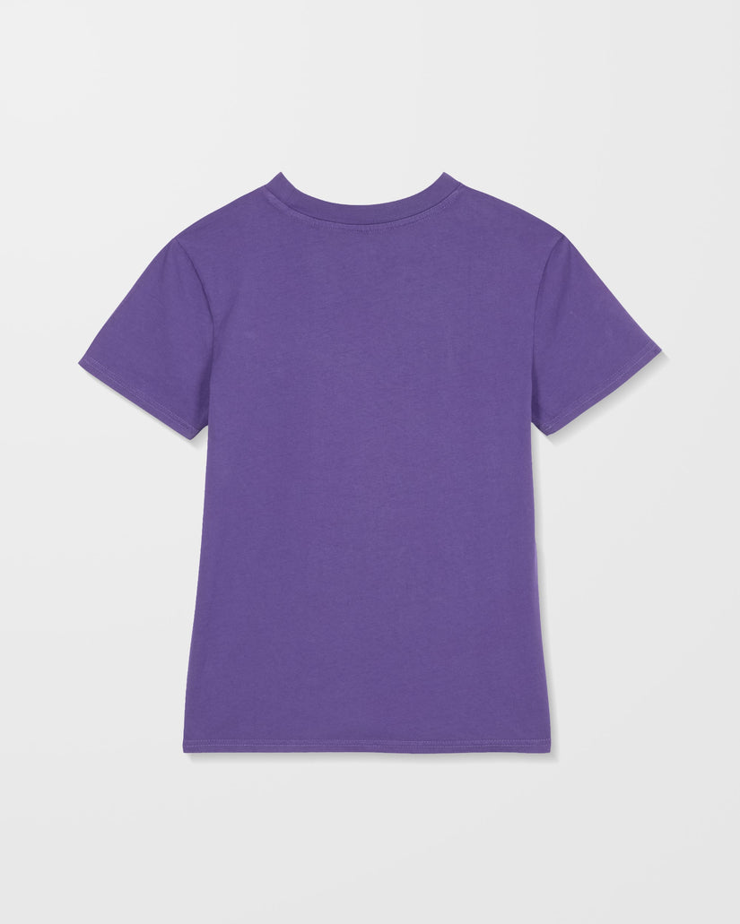 Solid Stone Besticktes T-Shirt - Acai