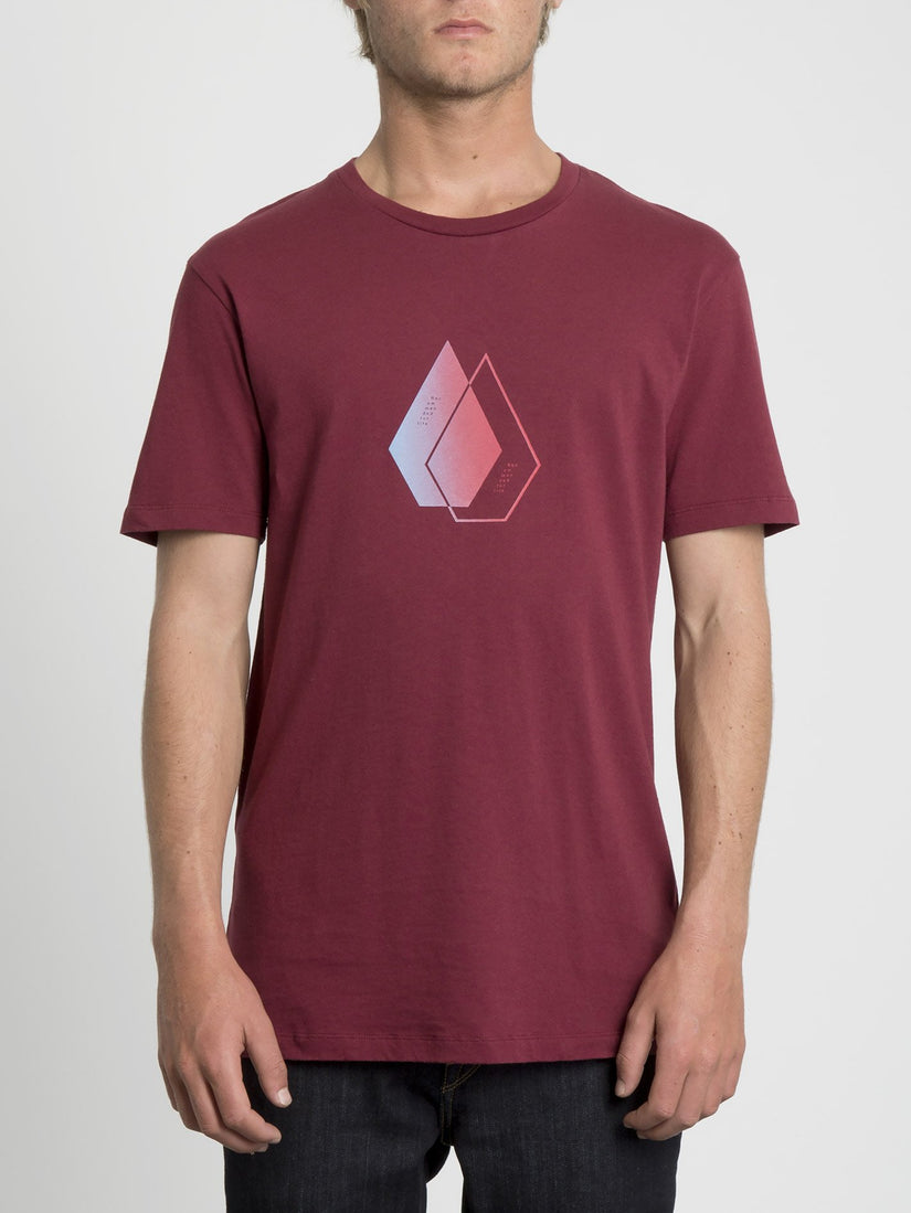 Disclose T-shirt - Cabernet (A4331963_CAB) [F]